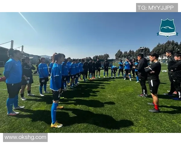 武汉足球队在精英赛中的表现分析与状态评估 武汉足球队在精英赛中的表现分析与状态评估