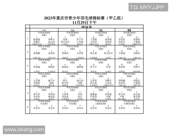 重庆羽毛球队在全国锦标赛积分榜上以71分稳居第一名展现强劲实力