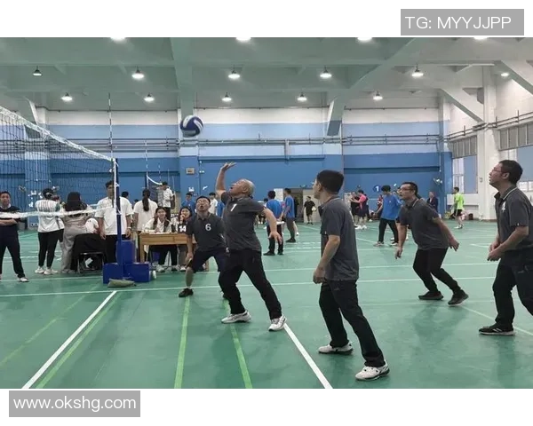 排球巨献：探秘成都排球队的力量