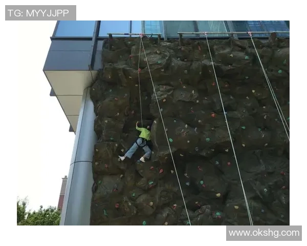 数据分析：重庆攀岩队的状态表现